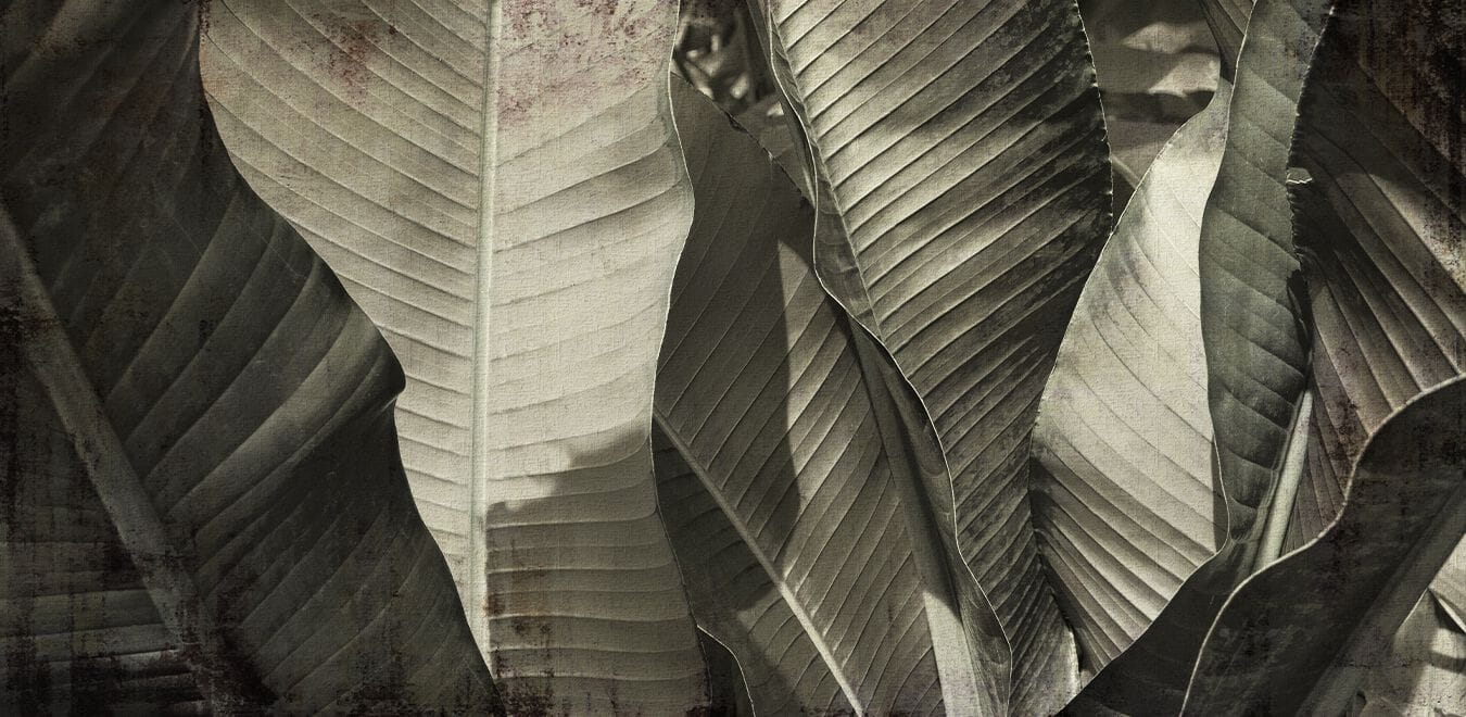 Тропические обои Creativespace Prêt-à-porter ARCH-00050310 - Вид №2