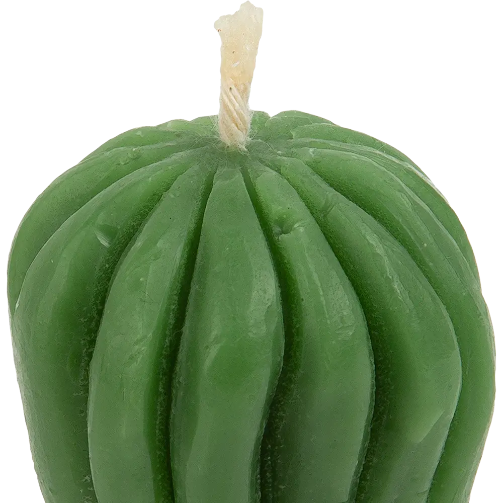 Свеча декоративная Кактус зеленая 6 см Santreyd STLM-2043878 - Вид №1