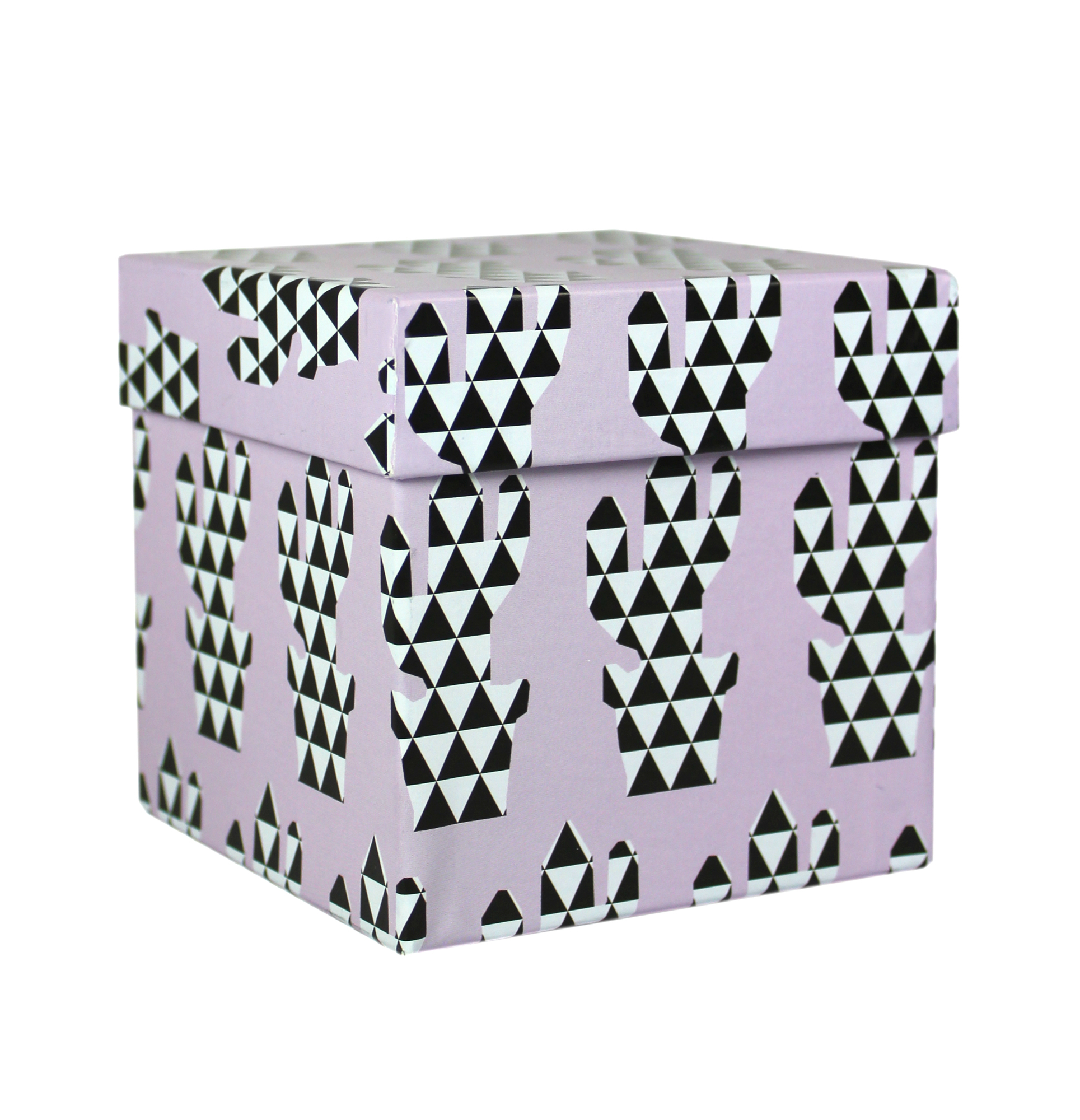 509913 Коробка подарочная "Граненый кактус", 9,5 х 9,5 х 9,5 см Santreyd 