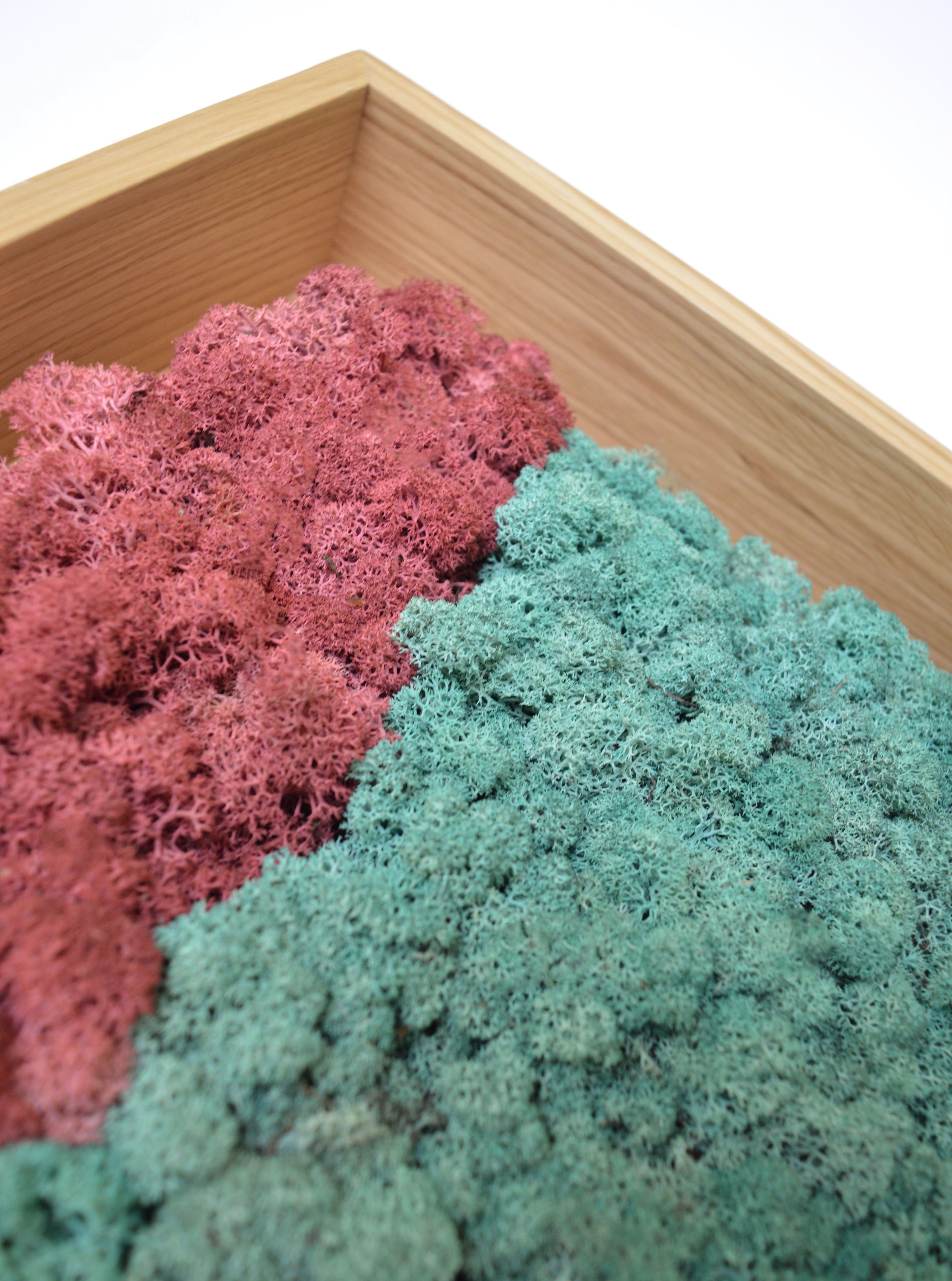 Акустическая панель из мха GREENMOOD FRAMED LANDSCAPE ARCH-00143245 - Вид №23