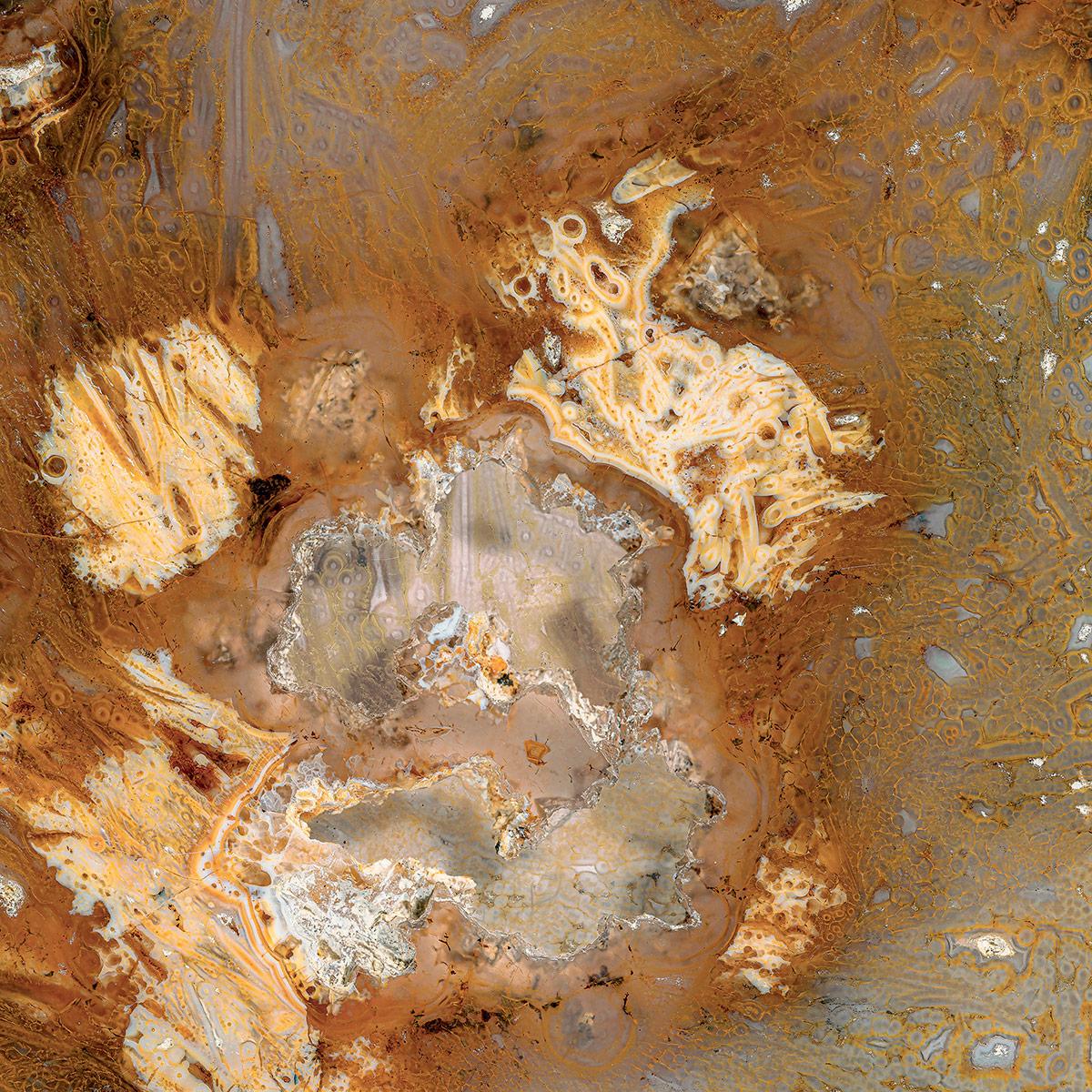 SICIS Elephant Cacao Vetrite sun-id-1991182 - Вид №3