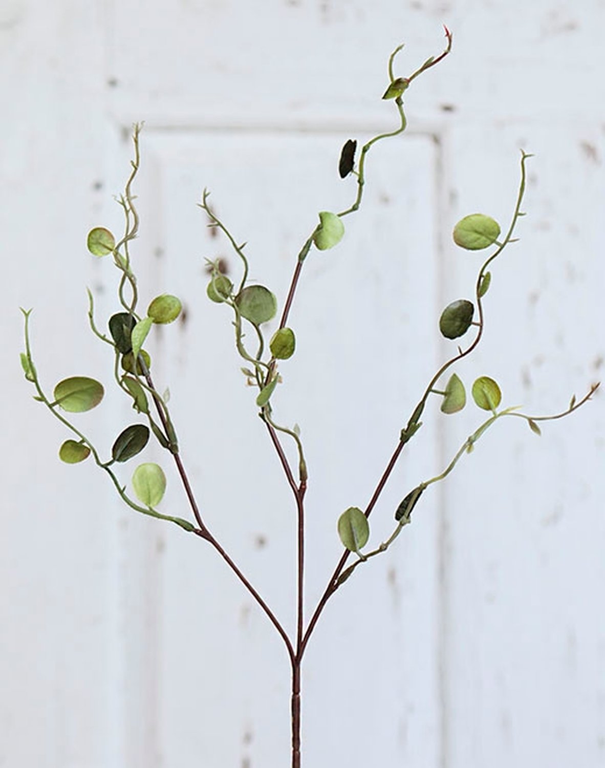 6998 883 a2 Ветка очитка искусственная, 35 см, зеленая H-andreas  - Вид №1