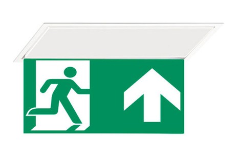 DST-274 Hydra pennant Daisalux Светильники аварийные Белый 