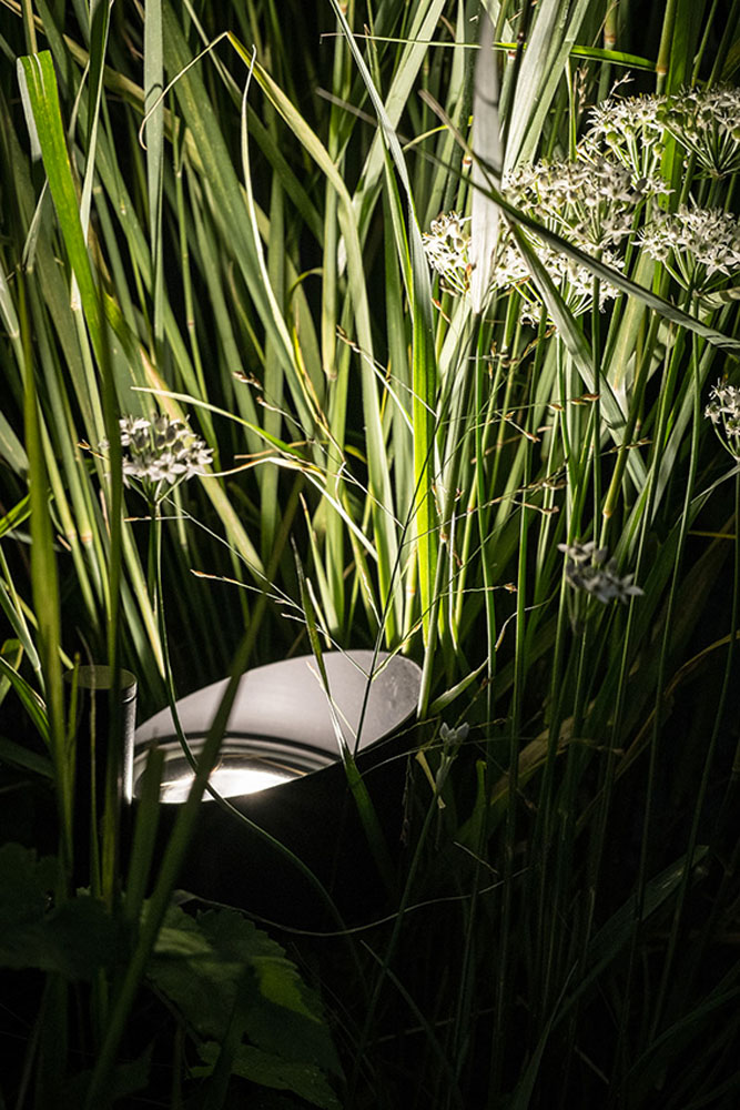 8800113 Проектор Platek FROG  FROG - 1 COB 3000K 45° - Вид №8