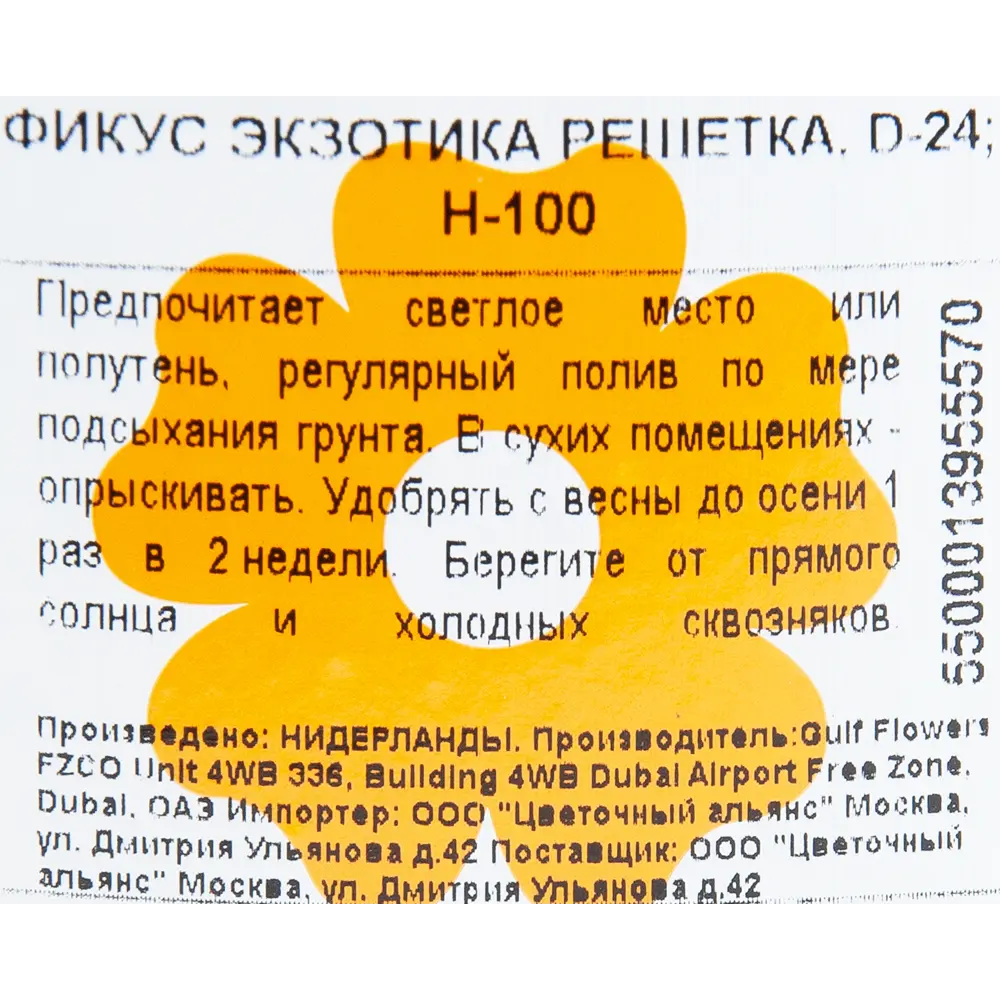 Фикус "Экзотика решетка" 24x100 см Santreyd STLM-2092837 - Вид №2