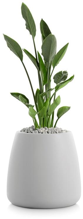 Diabla Пластиковый садовый горшок Gobi sun-id-1365765 - Вид №7