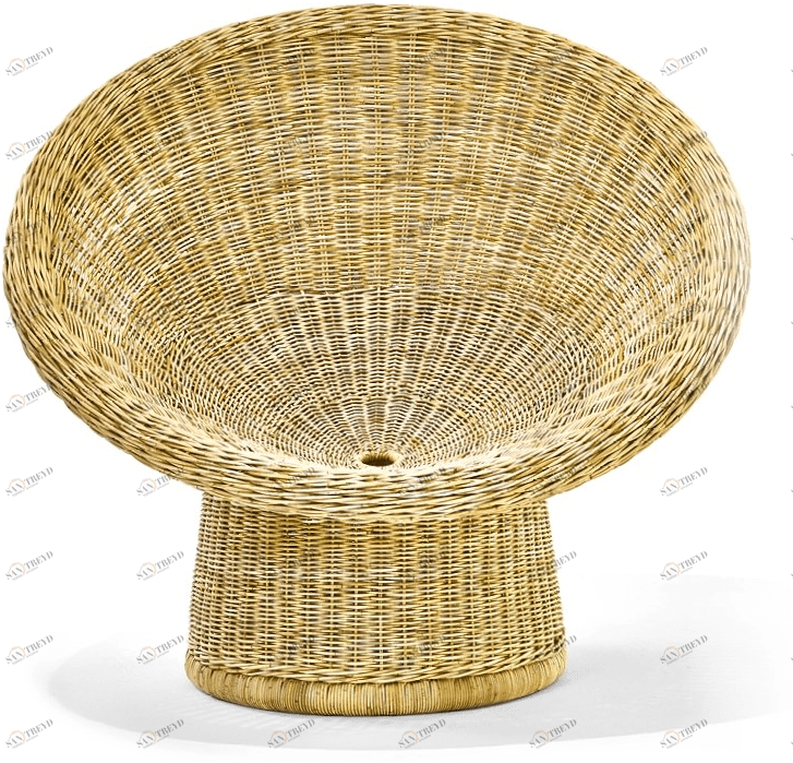 Richard Lampert Садовое кресло из ротанга E 10-14 sun-id-1458893