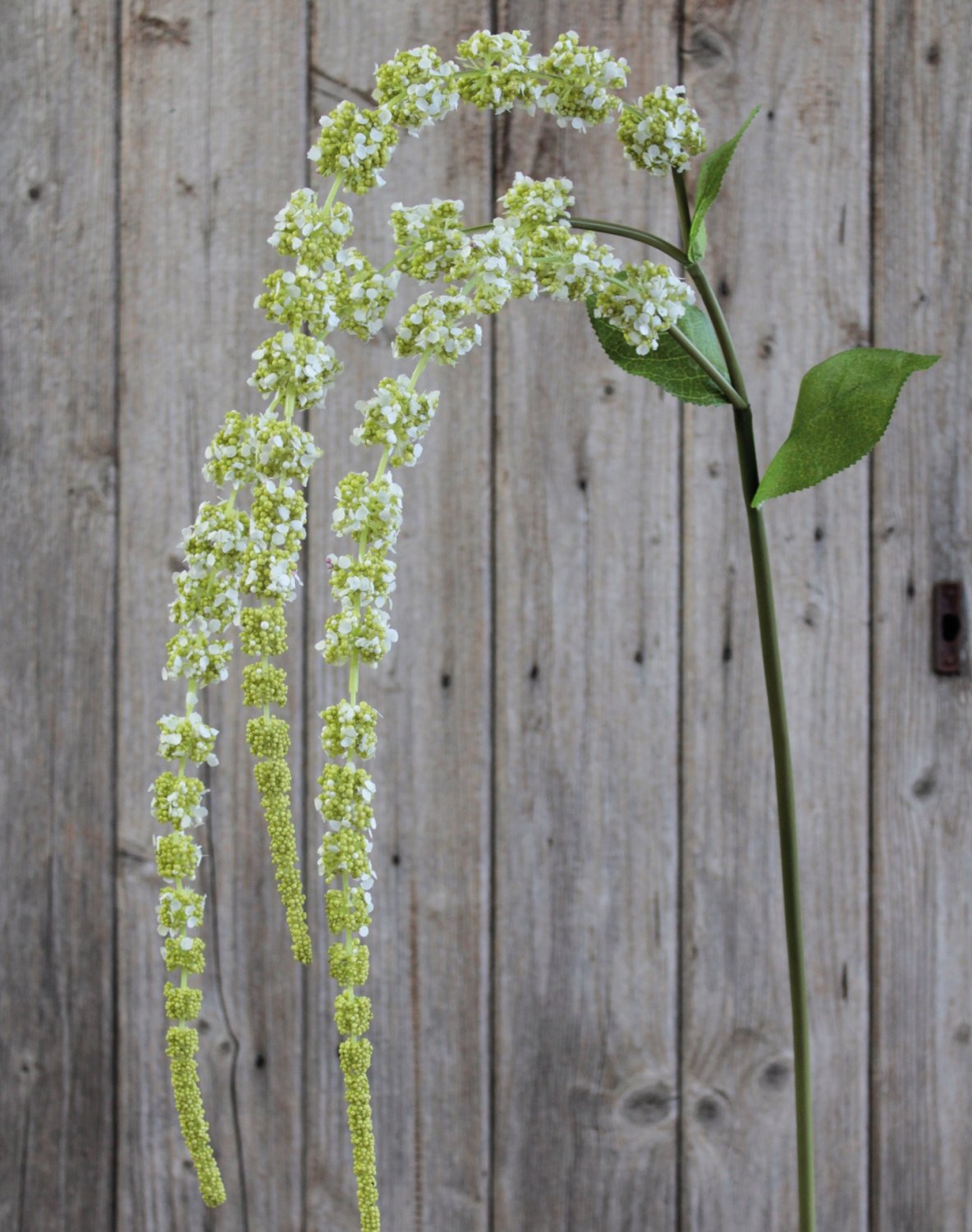 4863 807 a3 Стебель искусственного амаранта, 70 см (105 см), зелено-белый H-andreas  - Вид №8