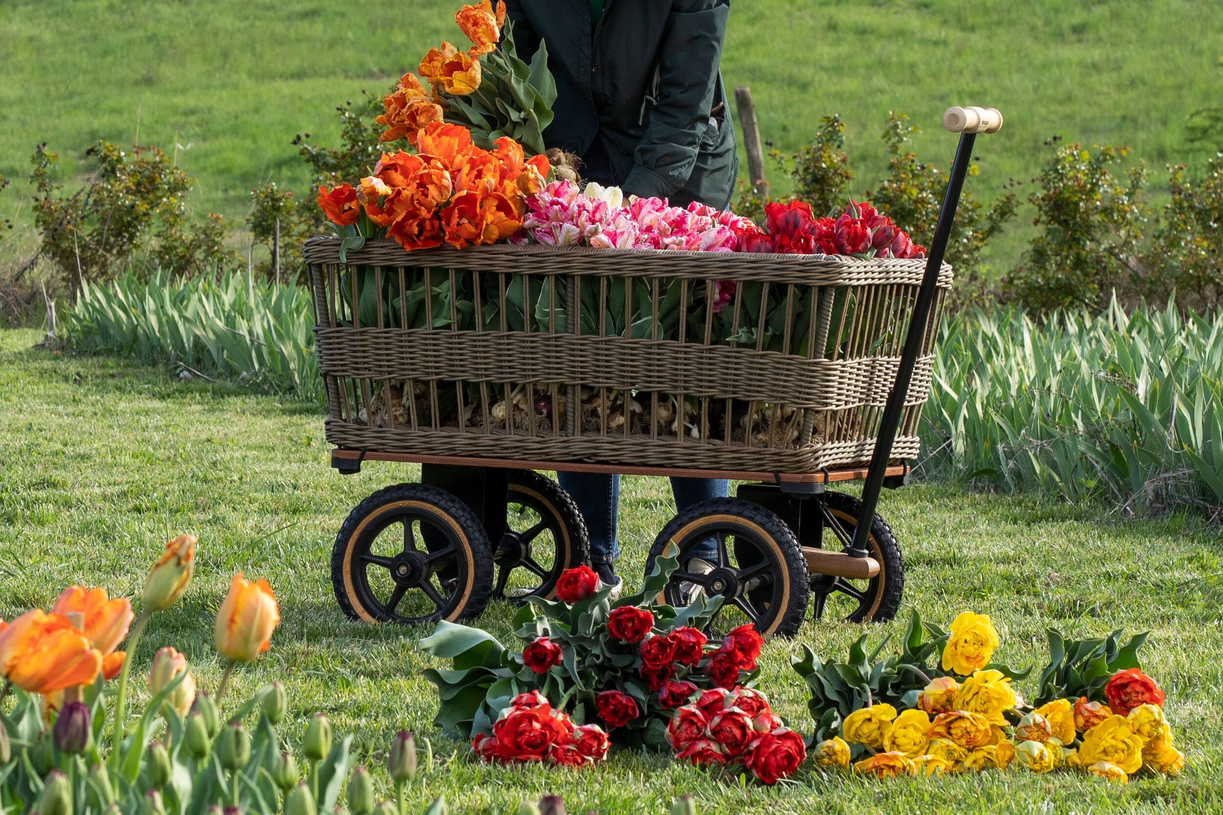 Garden trolley TRADEWINDS WAGON WITH BASKET ARCH-00010058 - Вид №4
