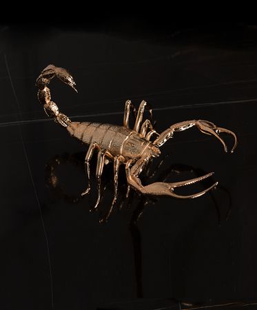 0-272 Центральный стол Metamorphosis  Boca Do Lobo  - Вид №24