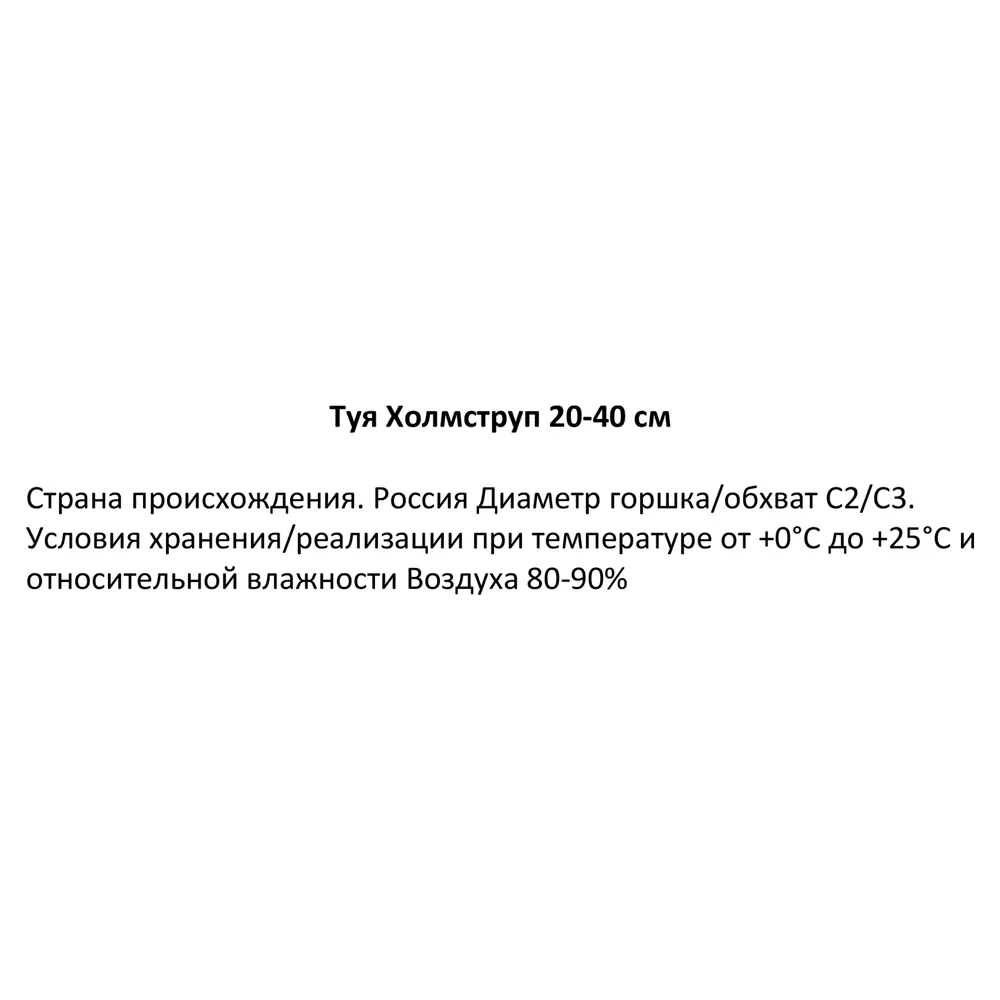 Туя западная Холмструп h20-30 см 85320115 STLM-2190175 Santreyd  - Вид №1