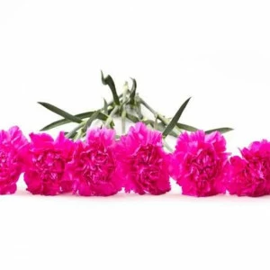 WP02557 Фотообои Verol Фотообои decoline 1х1 м