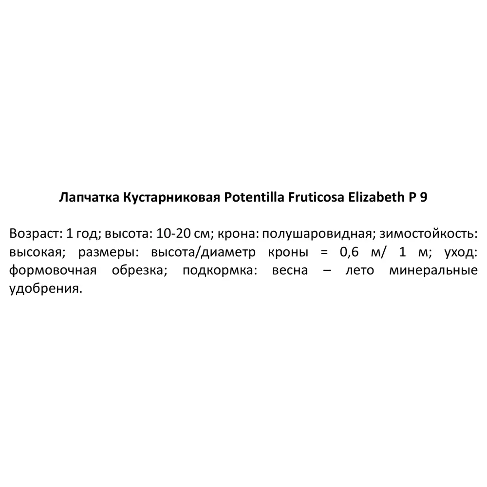 Лапчатка кустарниковая Елизабет ø9 h20 см 84406439 STLM-2010372 PLANTMARKET  - Вид №1