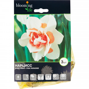 16396011 Нарцисс «Пинк Передайс», 14х16 см