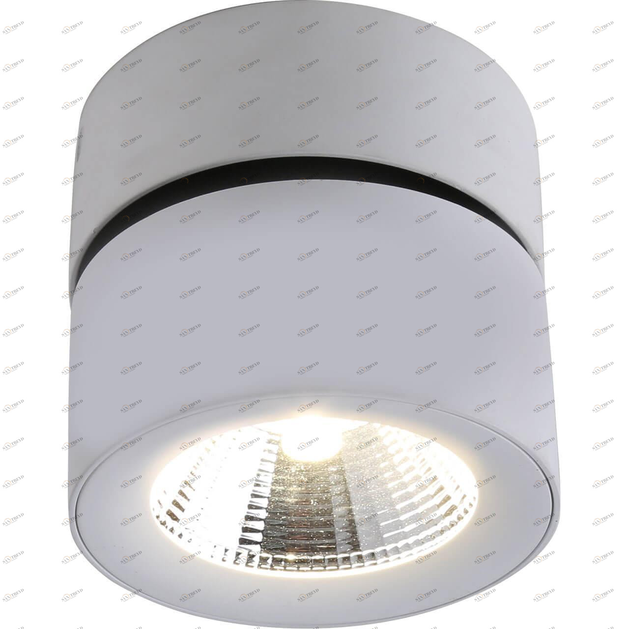 Спот потолочный светодиодный белый Urchin 1295/03 PL-1 DIVINARE URCHIN 00-3891504 Белый 
