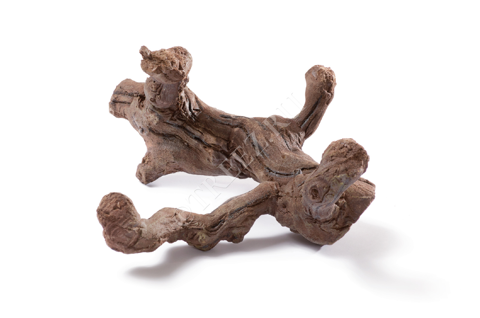 30.0313035 Коряга тёмно-коричневая Цветочная коллекция 