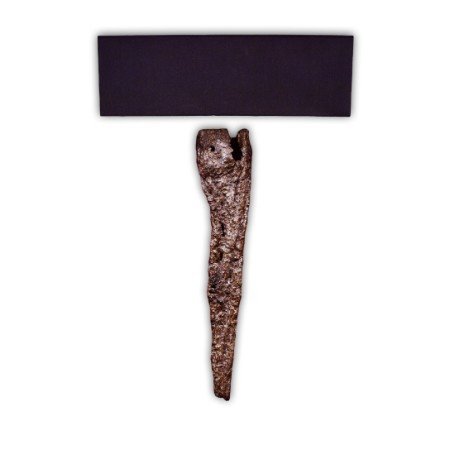 Бра BL SR 5629 RVASTLEY  059845 Коричневый  - Вид №1