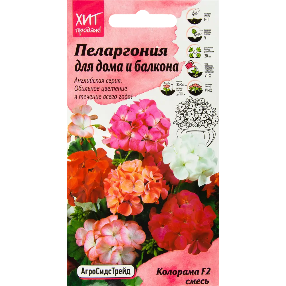 Пеларгония «Колорама» смесь окрасок F2 5 шт АГРОСИДСТРЕЙД STLM-2052303