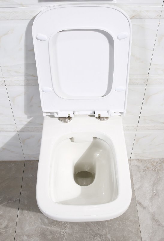 Унитаз подвесной BelBagno DORY безободковый Подвесной унитаз настенный Белый BELBAGNO  Китай  - Вид №3