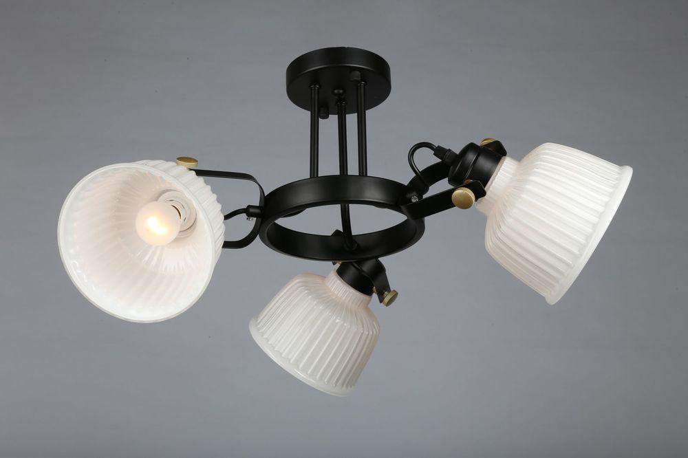 Потолочная люстра Omnilux OML-28207-03 OMNILUX OML-2820 183578 Белый  - Вид №2