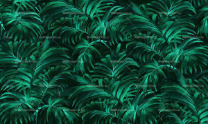 Tropical wallpaper, eco-friendly, PVC free and washable