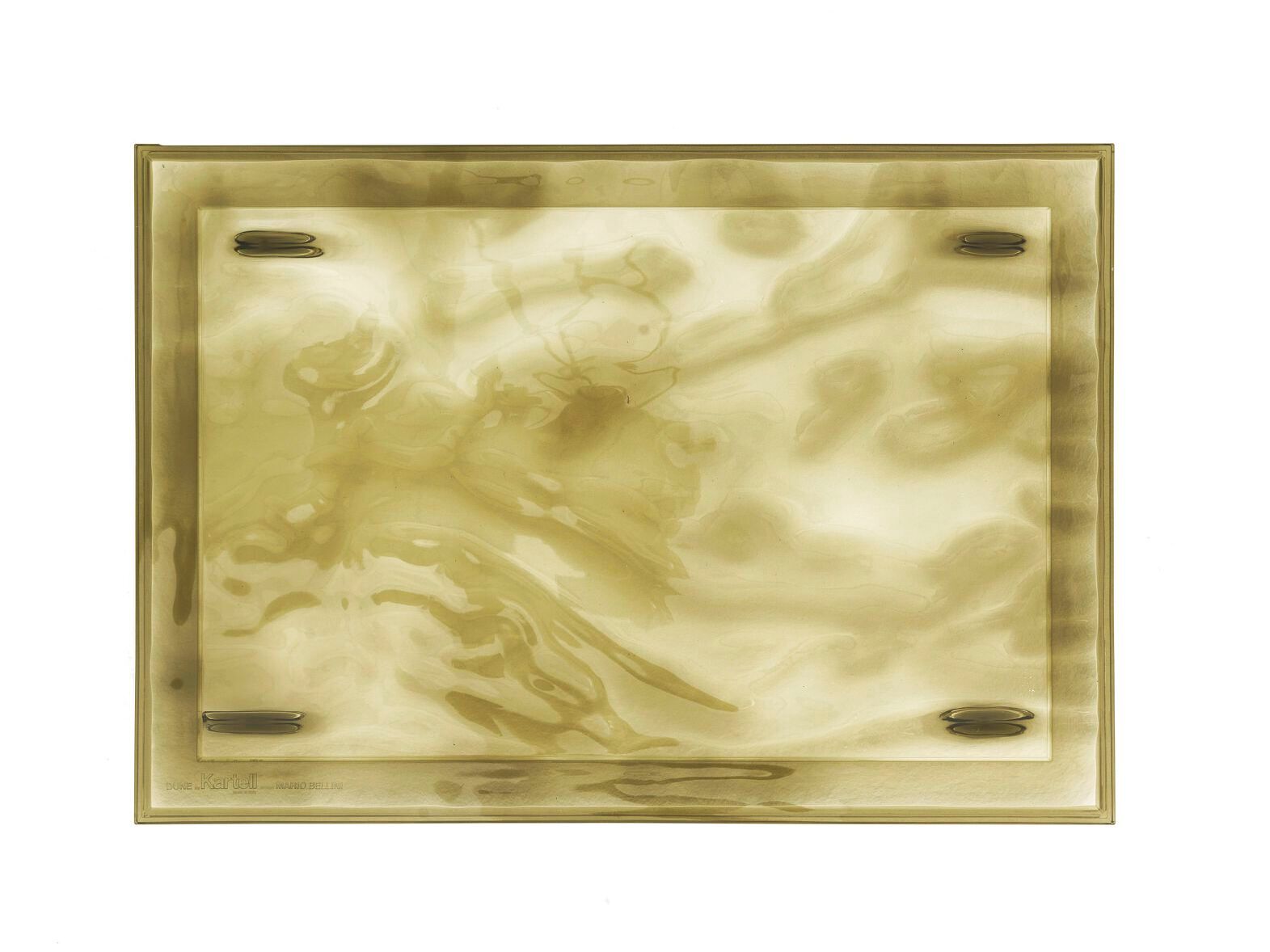 ARCH-00100770 Лоток для хранения яиц Kartell Италия DUNE - Вид №24