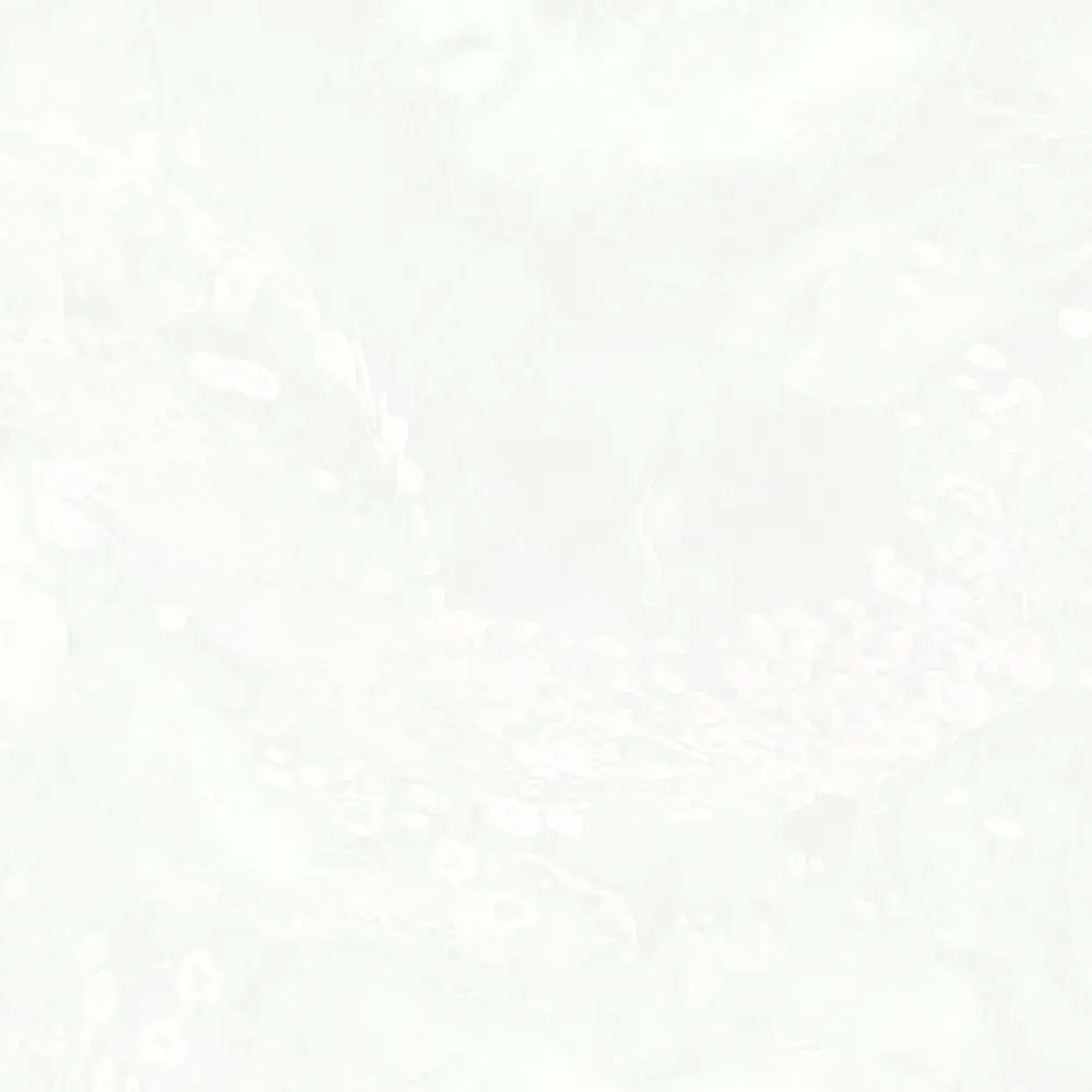Обои флизелиновые Wallsecret Veneciano белые 1.06 м 8810-20 89231633 STLM-2134865 - Вид №1