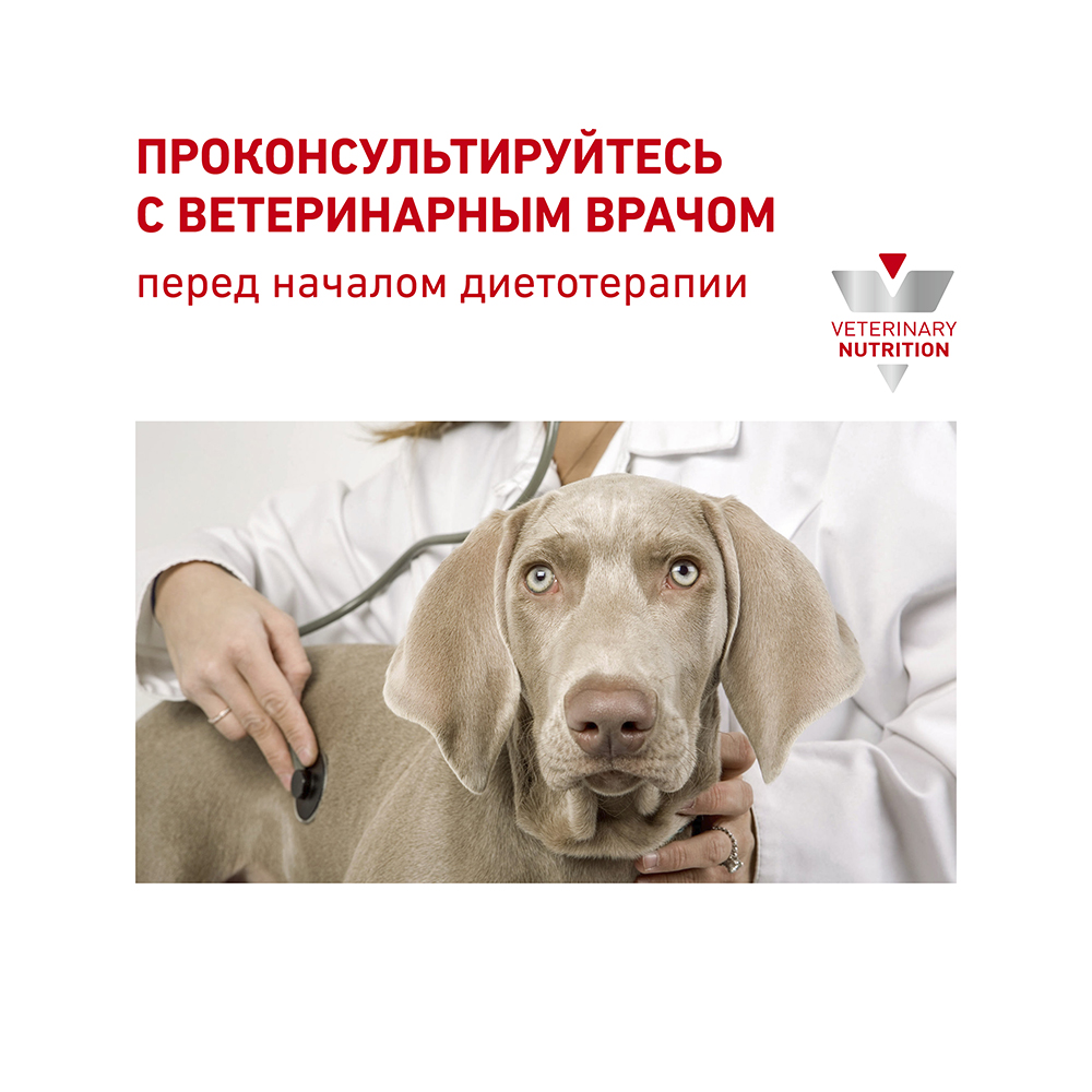 Т0023218 Корм для собак Vet Diet Cardiac EC26 при сердечной недостаточности сух. 2кг ROYAL CANIN  - Вид №8