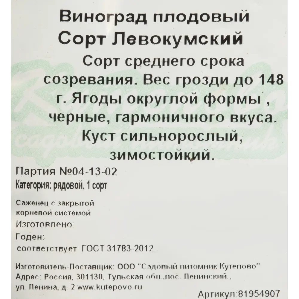 Виноград плодовый С2 «Левокумский» h50 81954907 STLM-2196100 Santreyd  - Вид №1
