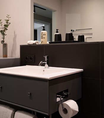 T12 Аксессуары vola  - Вид №83