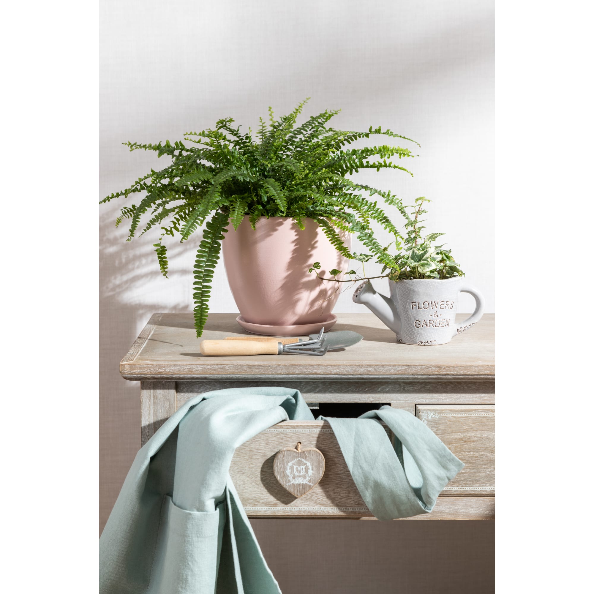 13534108 Нефролепис Грин Леди 12х37 см Santreyd  - Вид №5