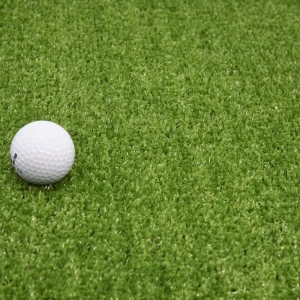 Искусственный газон BEGINIA 7 мм 2×5 м - зелёный 89415629