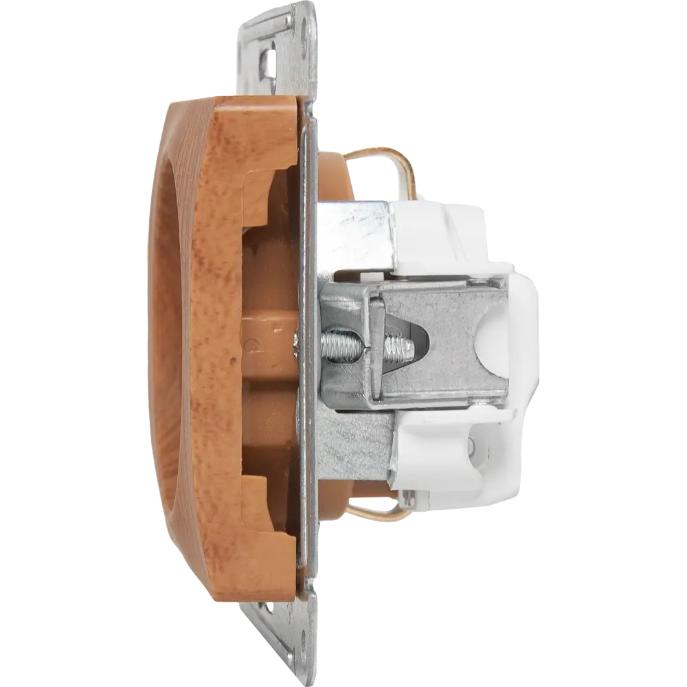 Розетка встраиваемая Systeme Electric Glossa с заземлением со шторками цвет дуб STLM-2004907 - Вид №2