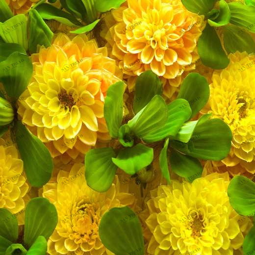 WP00455 Фотообои Verol Фотообои decoline 1х1 м