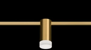 Centrsvet Светодиодные трековые светильники из сатинированной латуни Auroom