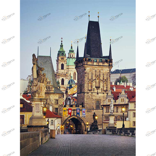 C1-205 Фотообои DIVINO Collection C 2.7х2 м C1205