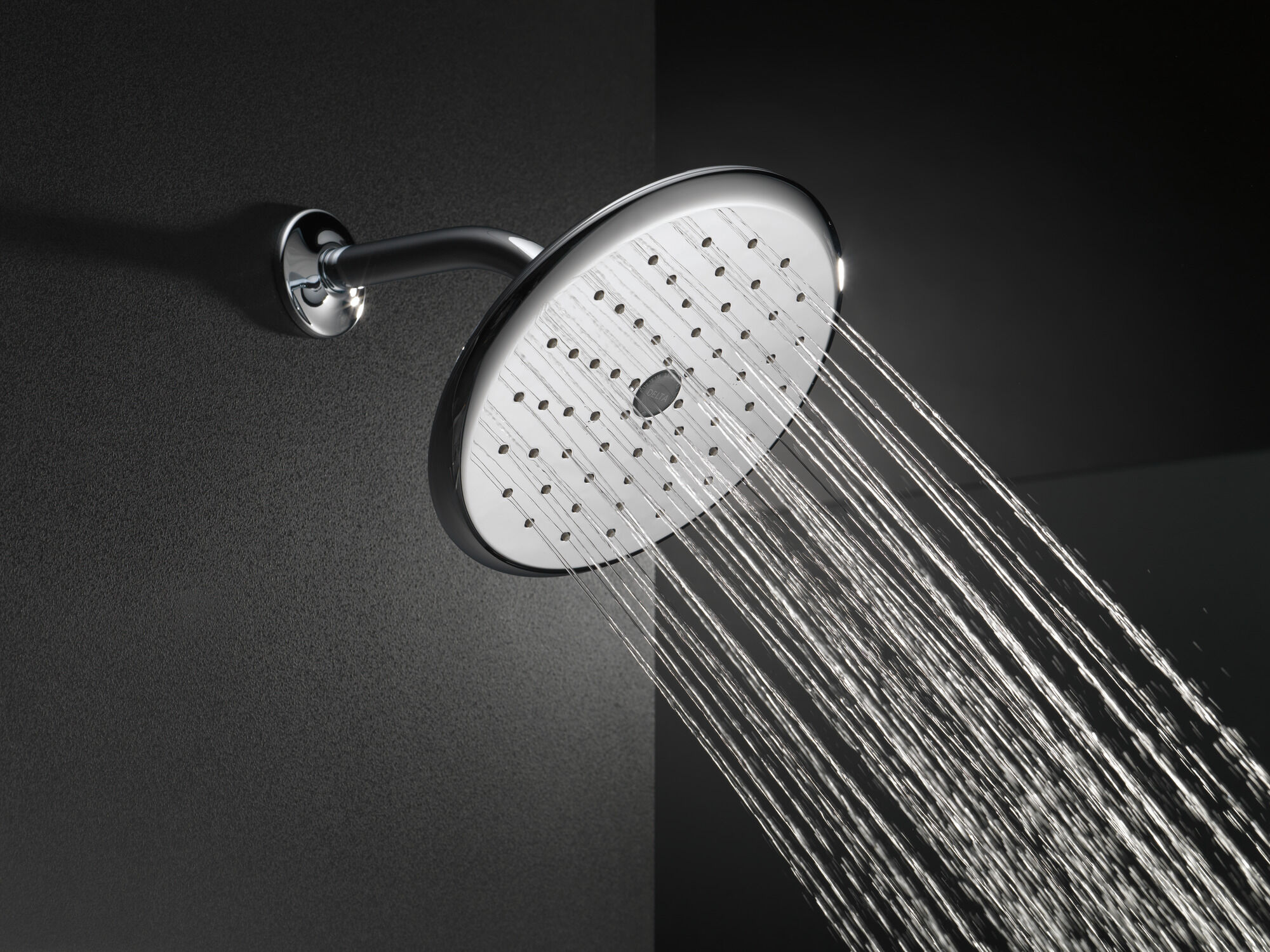 RP52382SS Душевая лейка Raincan с одинарной настройкой Delta Faucet Universal Showering Нержавеющая сталь  - Вид №2