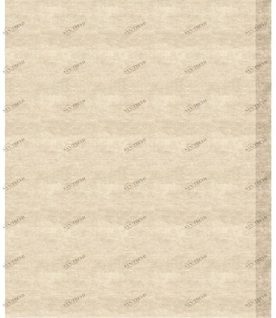 Tapis Rouge Прямоугольный коврик ручной работы Color block Tr1625hc