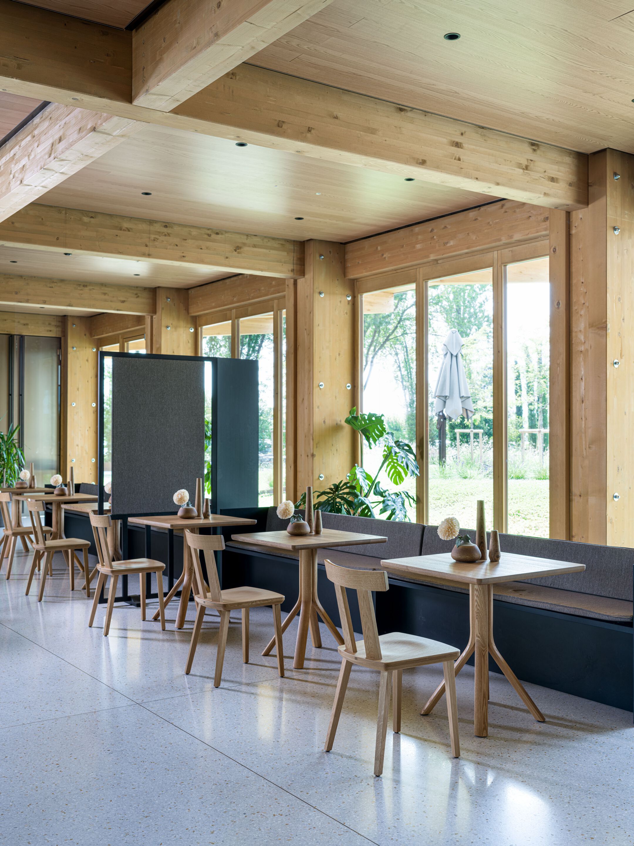 Квадратный стол из ясеня SIPA дерево ARCH-00042541 - Вид №5