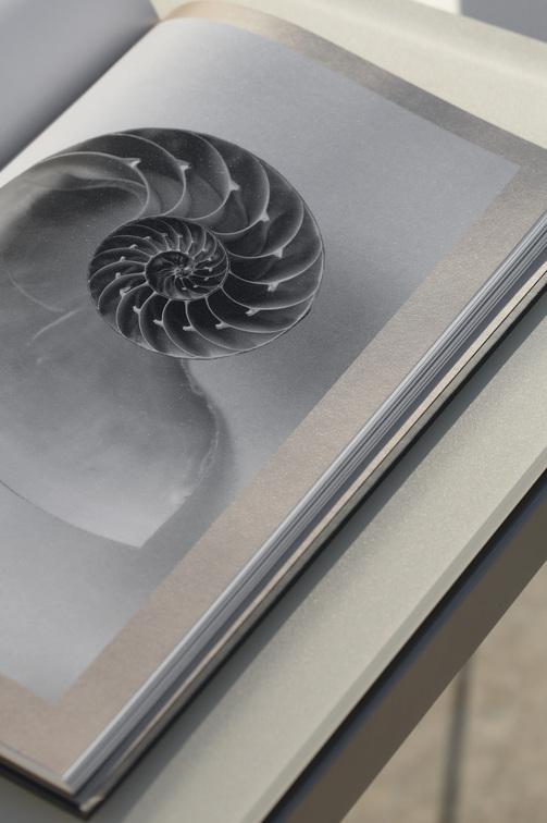 MNST1174 Обеденный стол pcsts lava 212,5см x 105см Manutti Trento - Вид №8