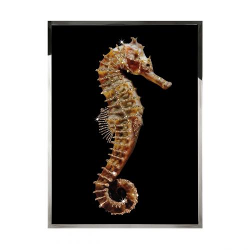 Hippocampus Смешанная техника Visionnaire 