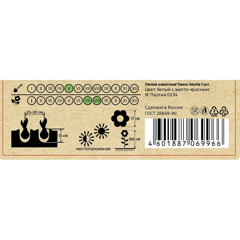 Лилия Geolia азиатская Тинос 86408615 STLM-2196166  - Вид №4