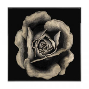 Rosa Fossile Произведение искусства из ископаемого дерева Visionnaire