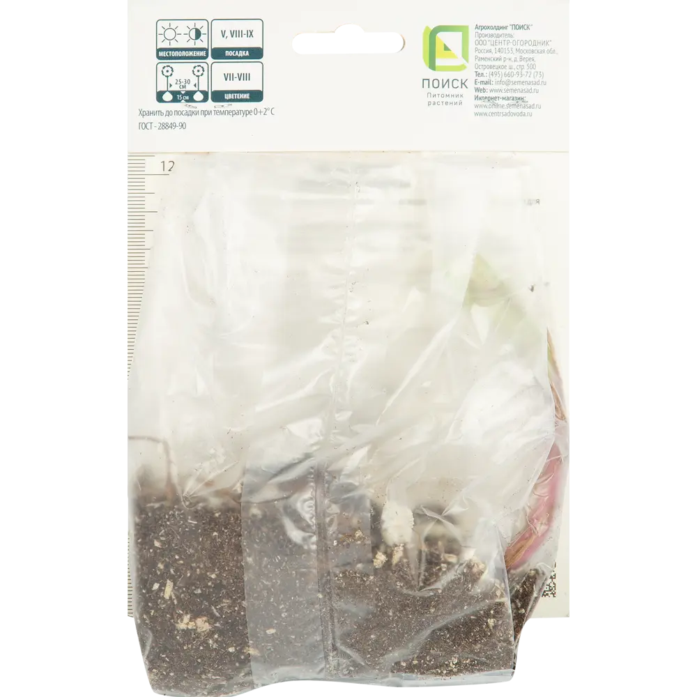 Лилия восточная Компаньон ПОИСК STLM-2032790 - Вид №1