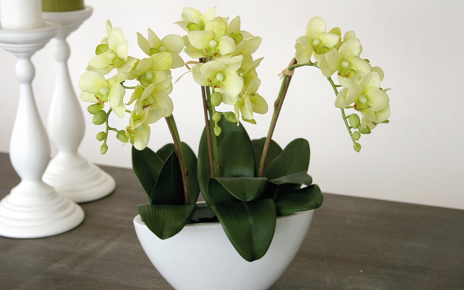 2609 788 a3 Искусственная орхидея Фаленопсис, кремово-зеленая H-andreas  - Вид №6