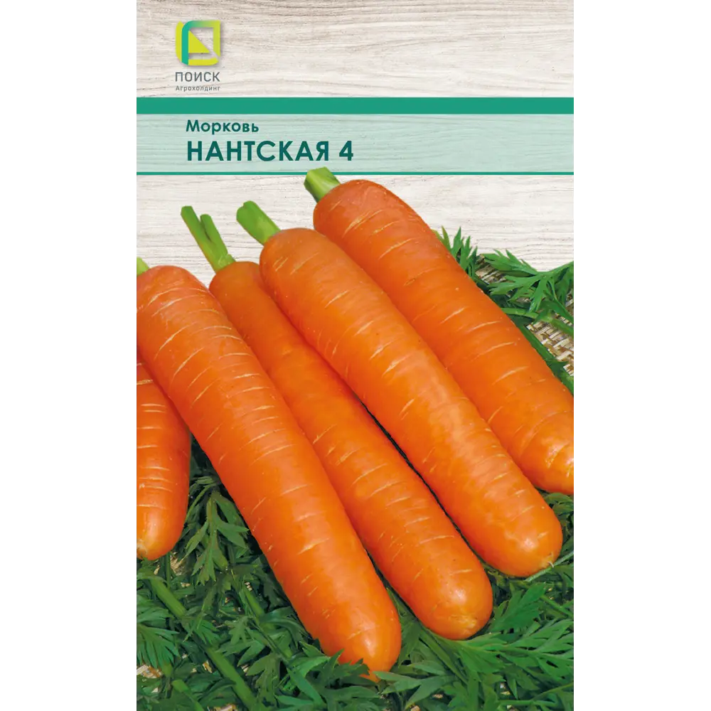 Морковь Нантская ПОИСК - среднеспелый сорт для диетического питания 83577703 STLM-0042033