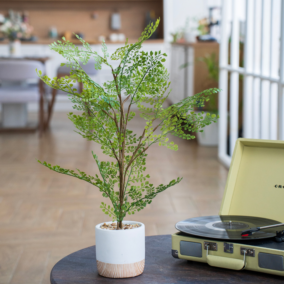 87681876 Искусственное растение Фикус 71x14 см пластик STLM-0074886 Santreyd  - Вид №4