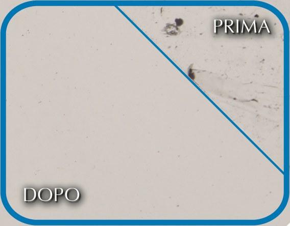 Geal Ежедневное нейтральное моющее средство sun-id-1415543 - Вид №1