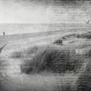 WP02006A Обои декоративные Adriani e Rossi