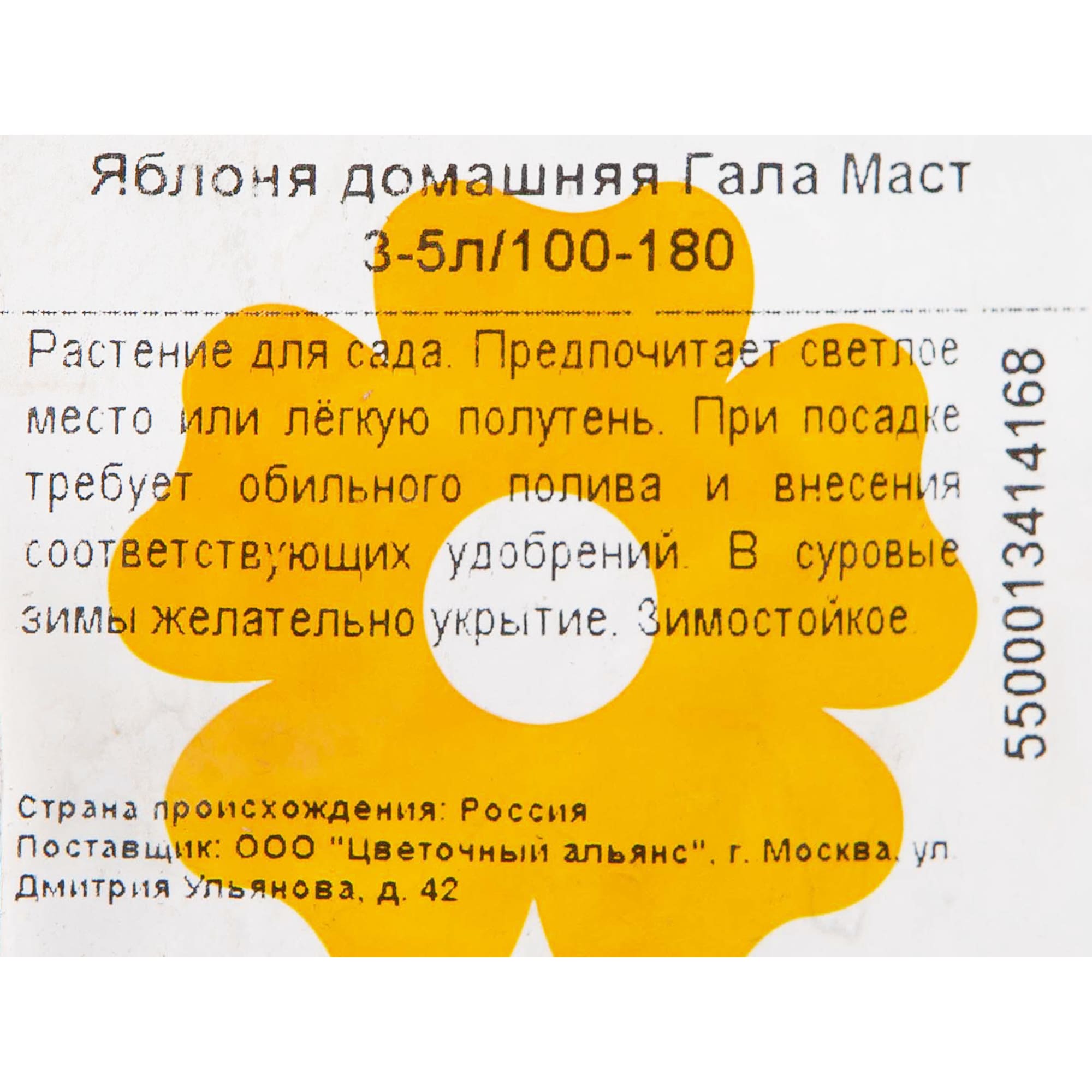 82601736 Яблоня домашняя «Гала Маст» 3-5 л высота 100-180 см Santreyd  - Вид №1